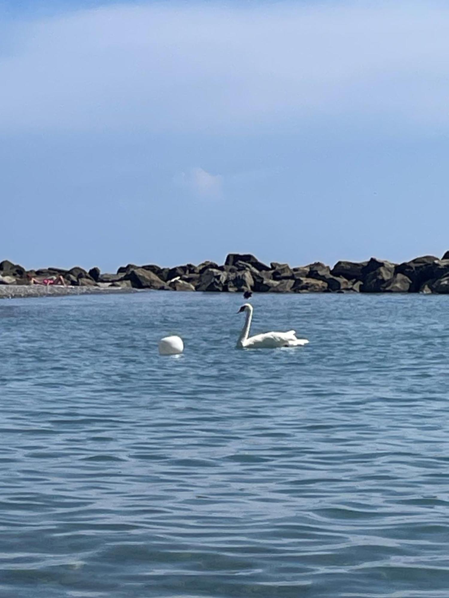Casa Aiga Marina Leilighet Ventimiglia Eksteriør bilde